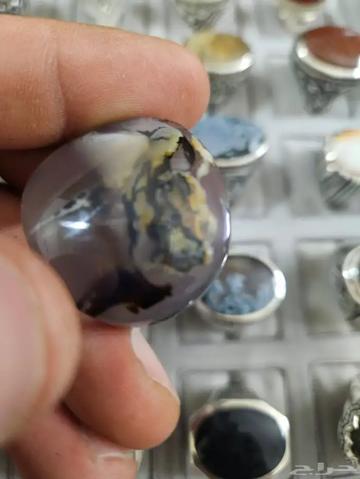 حجر خيل وغزال وطفل 2