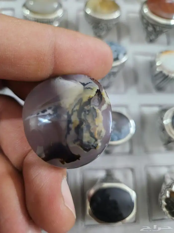 حجر خيل وغزال وطفل 1