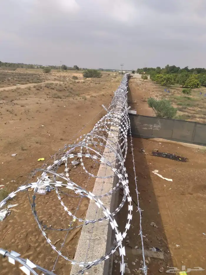توريدوتركيب الشبوك 3