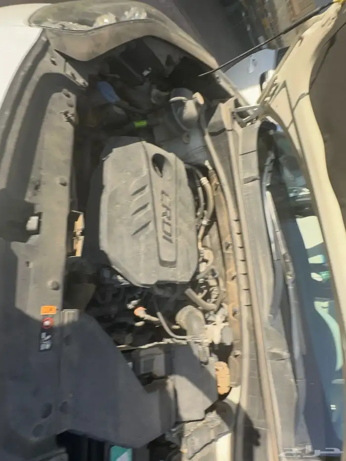 سبورتاج كوري مستورد 2019 28