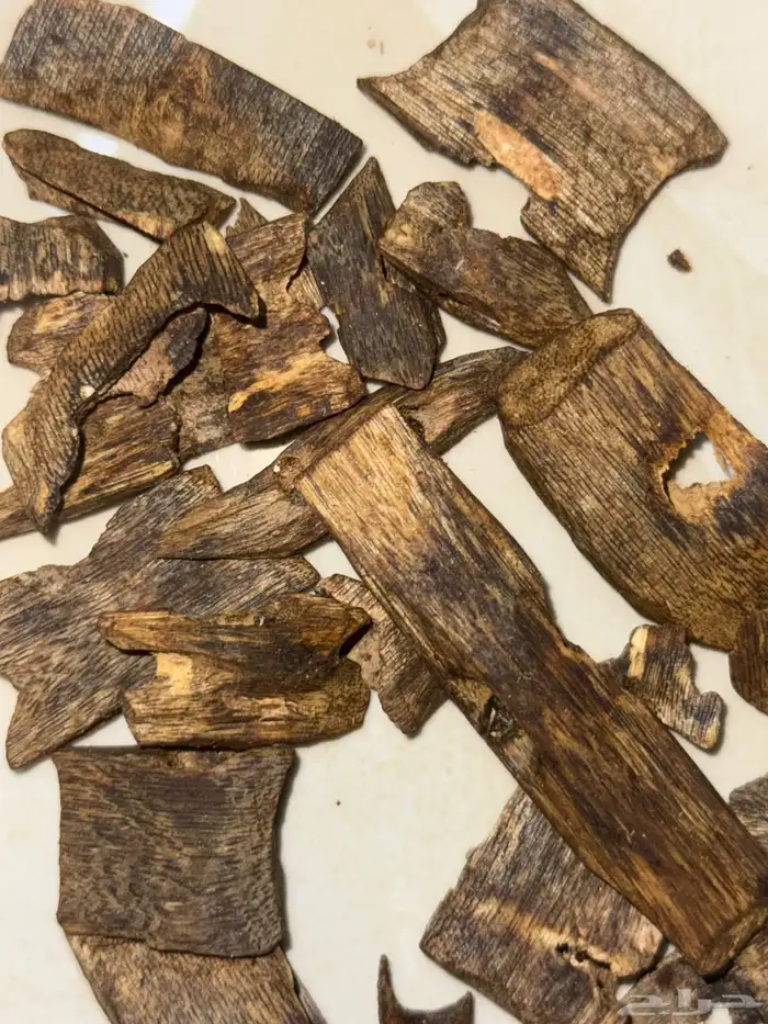 عود 0