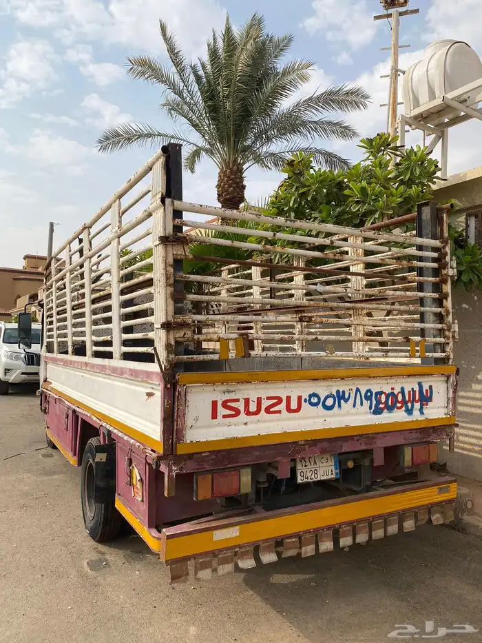 دينا ايسوزو 2014 6