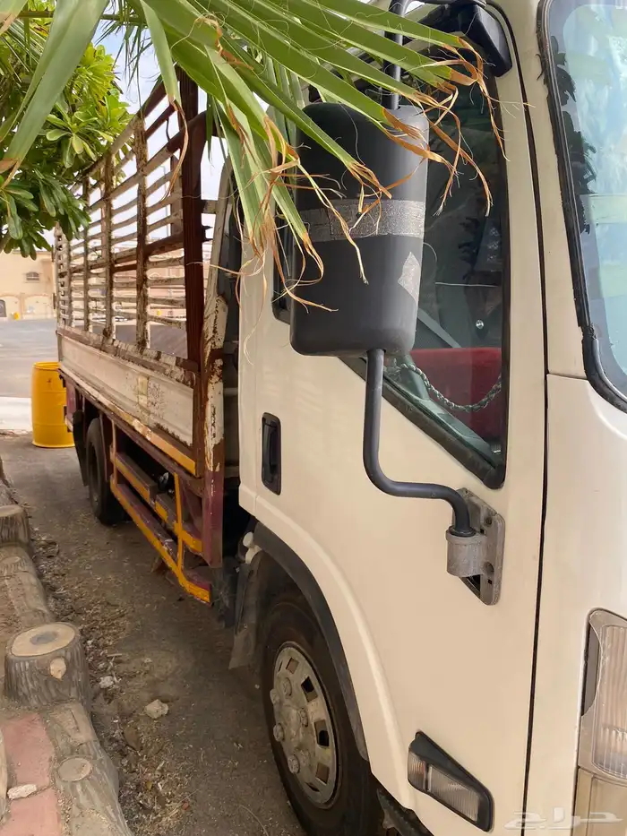 دينا ايسوزو 2014 1