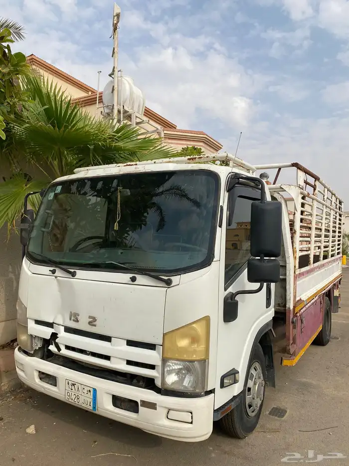 دينا ايسوزو 2014 5