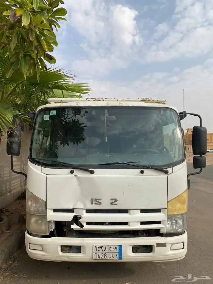 دينا ايسوزو 2014 7