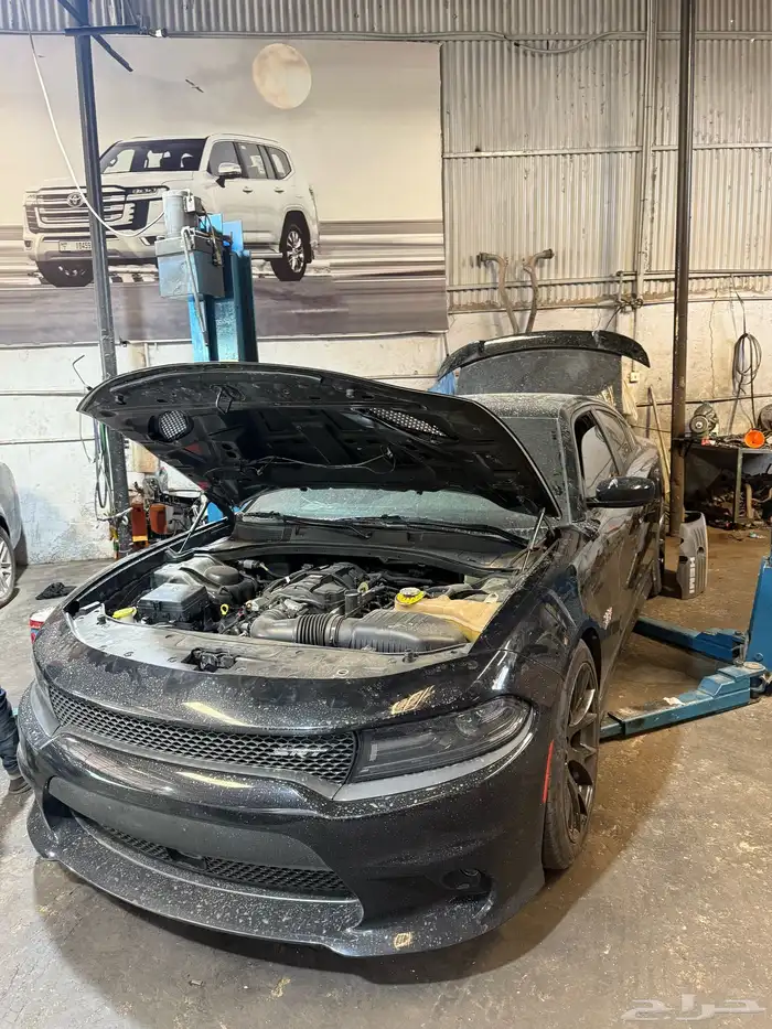 مكاين اكسبدشن تورس دوج ضمان سنه 4