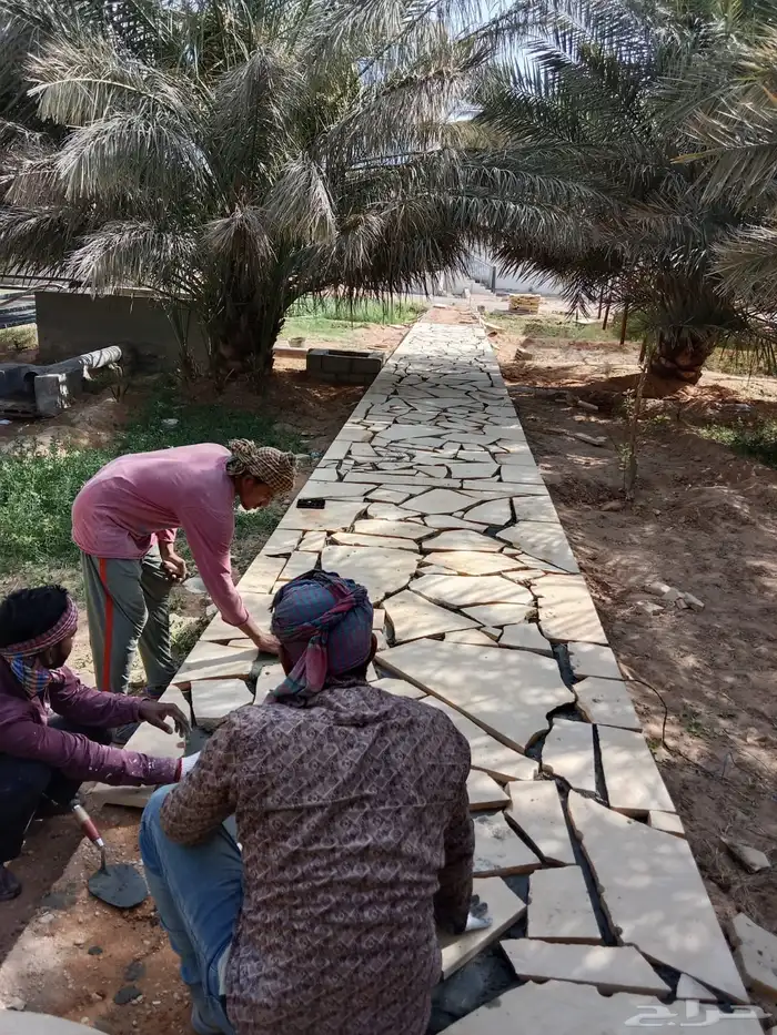 حجر عشوائي جميع الانواع ابيض واصفر ورمادي 4
