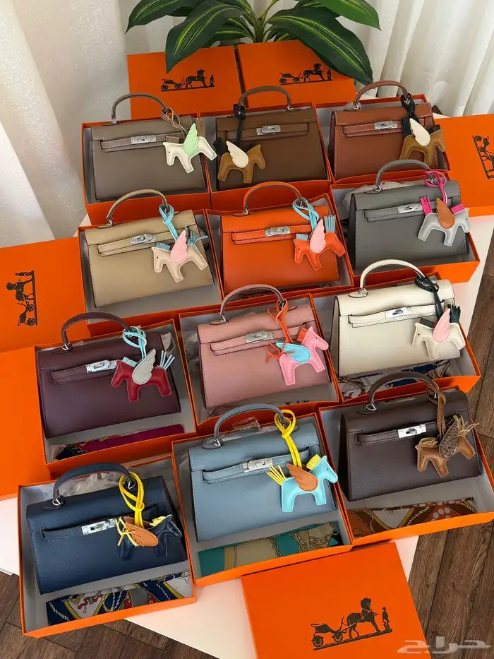 شنط هرمز نسائية هاي كواليتي 170 فقط حتي نفاذ الكميه 1