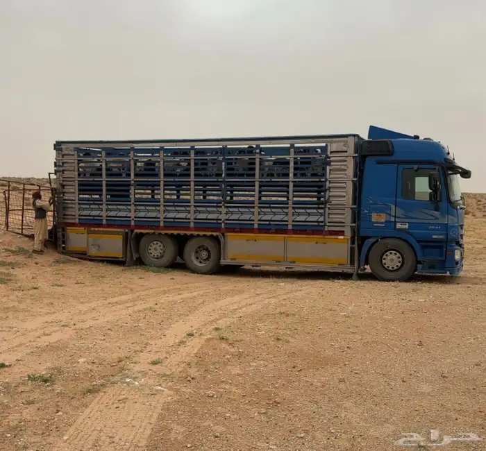 لوري كبير سكس لللنقل 0
