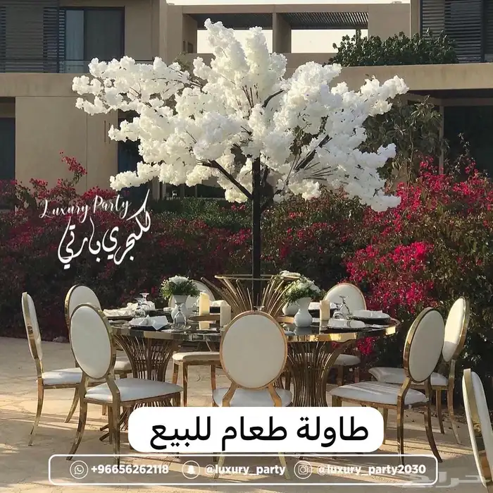 كراسي و طاولات حفلات للبيع 10