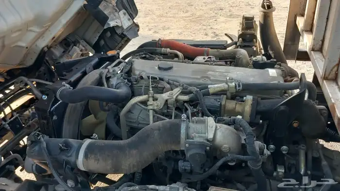 دينا ايسوزو 2018 6