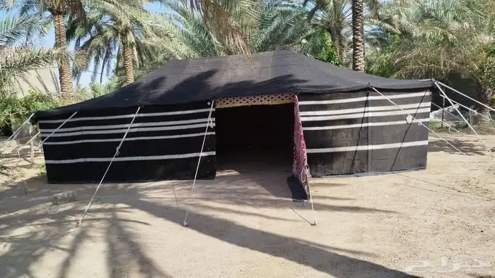 صيانه وبناء بيوت الشعر والخيام وتركيب الطربال 0