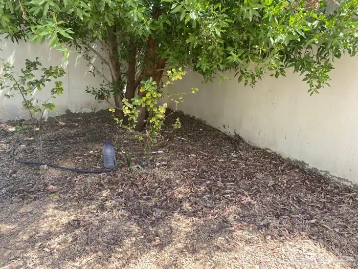 ستراحه للبيع 6