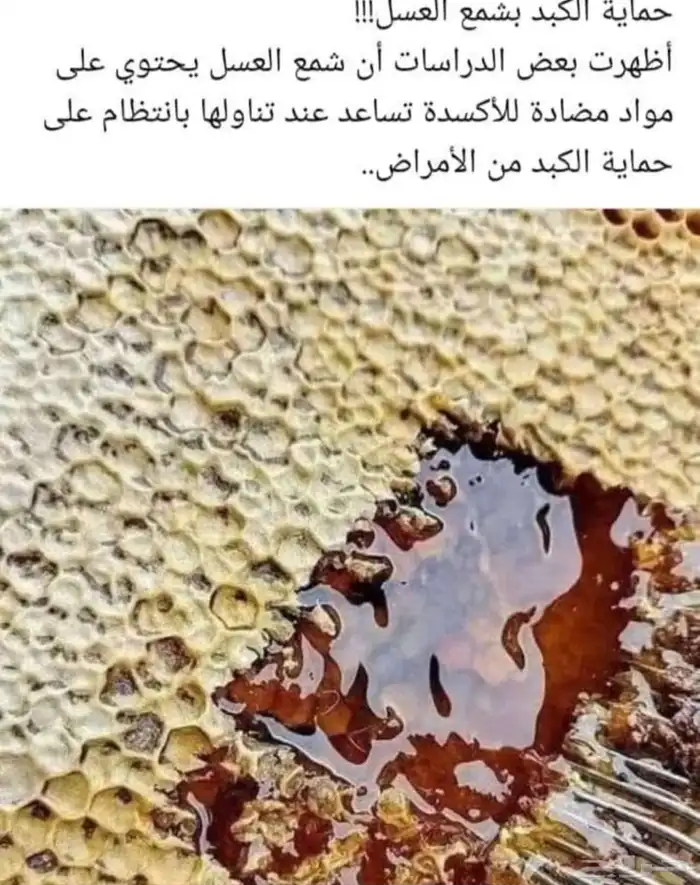 عسل طلح مضمون من مناحلنا وسدر 6