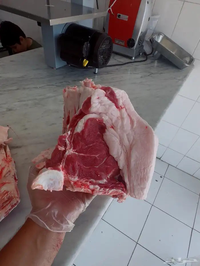 لحم قعود بلدي شرط و العمر لقي صغير من 30 ريال عرض 0