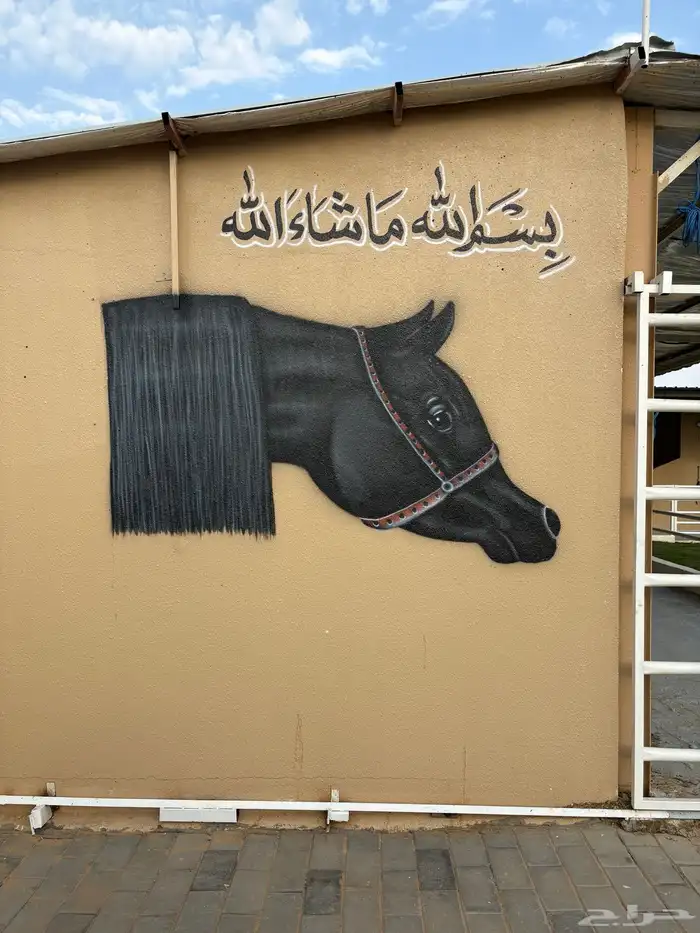 خطاط ورسام 1