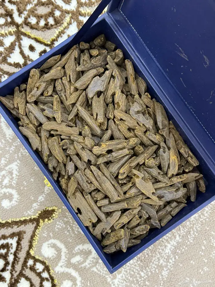 عرض جملة الجملة 1