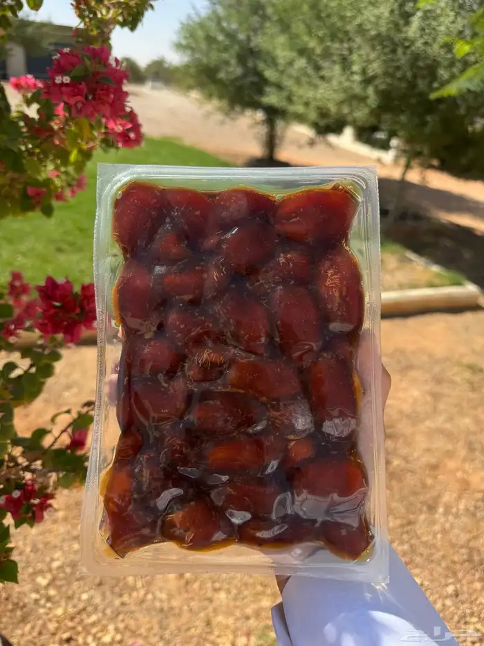 تمر خلاص أشيقر 0