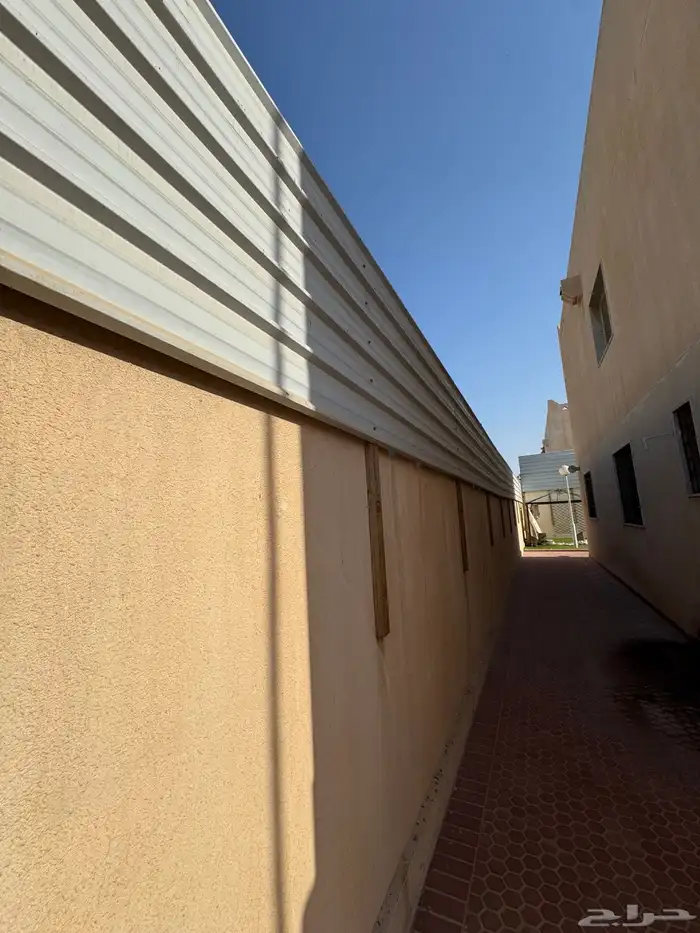 شينكو ( زنك ) للبيع 1