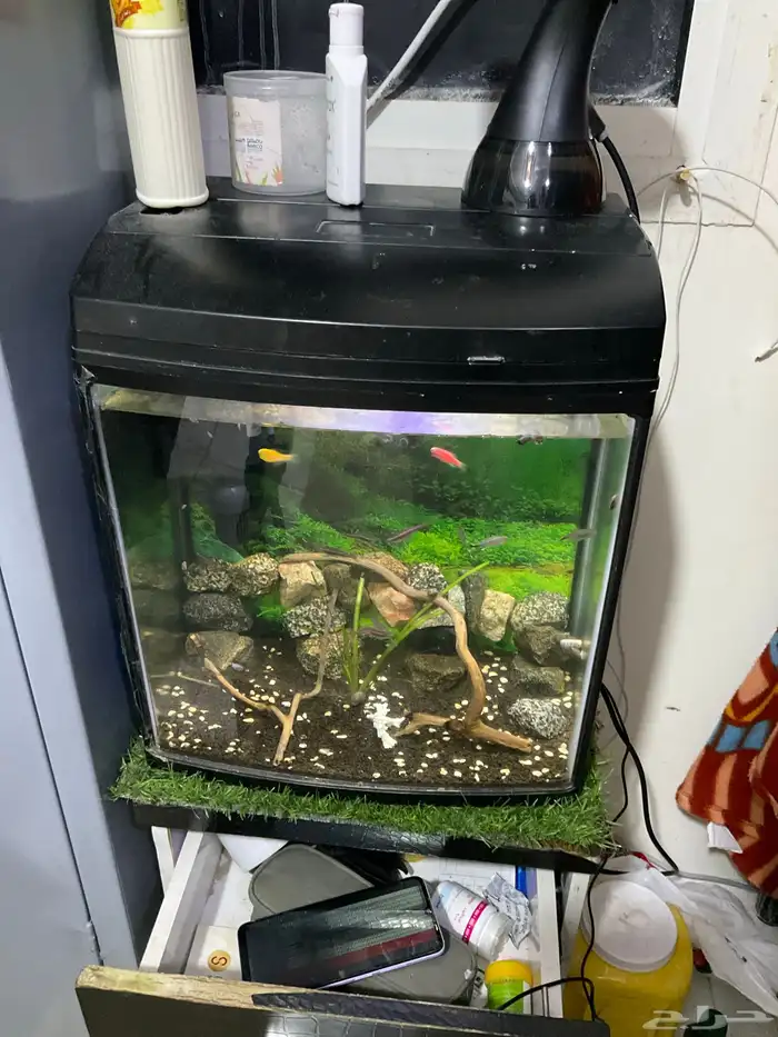Fish tank with fish moter filter oxygen 3