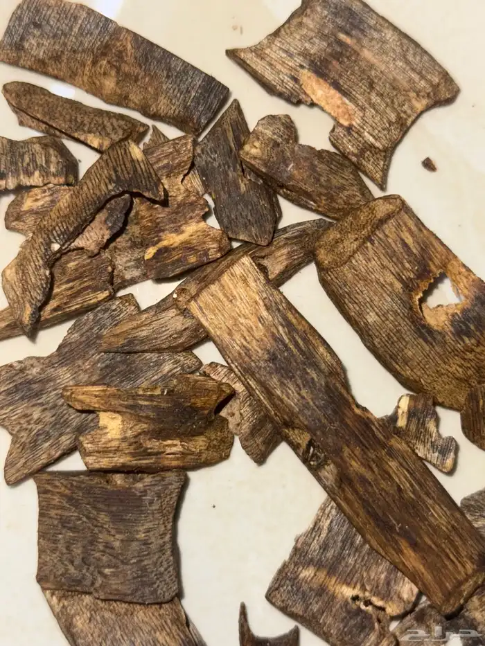 عود 1