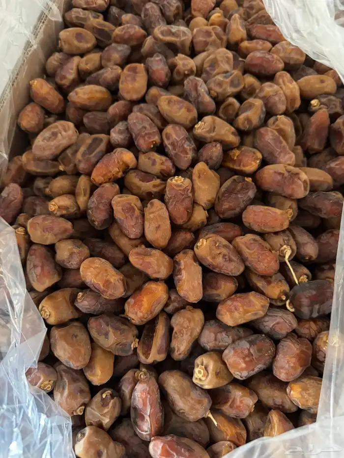 للبيع تمر خلاص 3