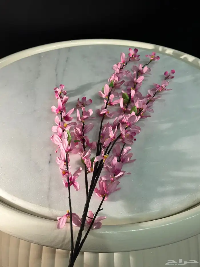 تأجير جميع مايخص الاحتفالات والمناسبات و المعارض 44