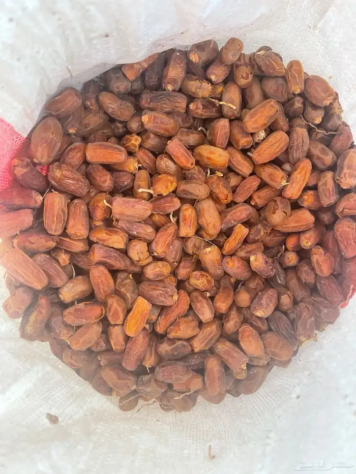 تمر للاغنام 1