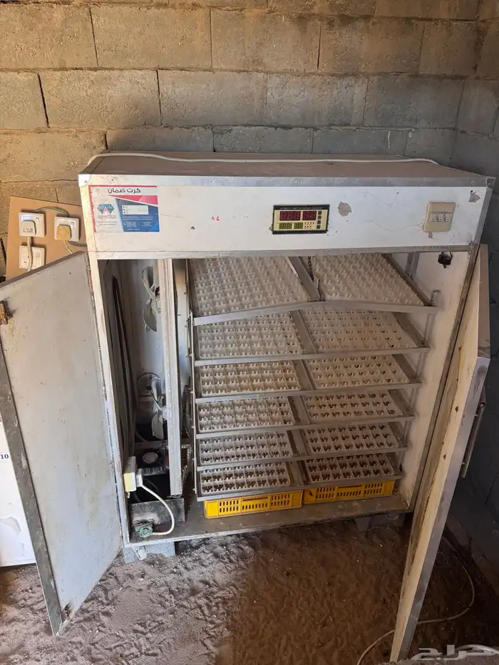 فقاسة فقاصة ماسة المحمدية 2