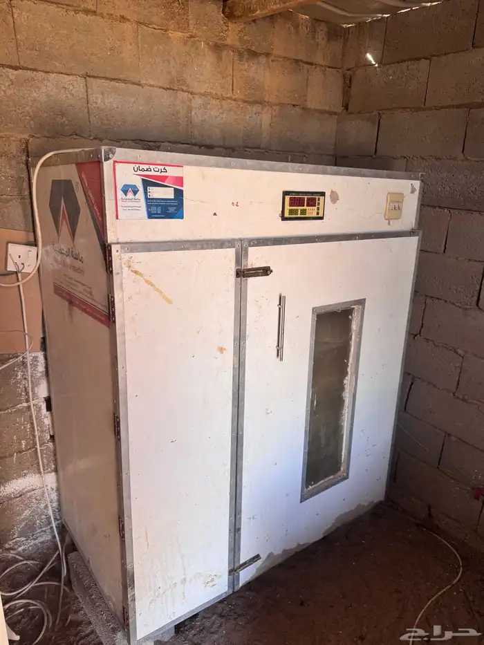 فقاسة فقاصة ماسة المحمدية 0