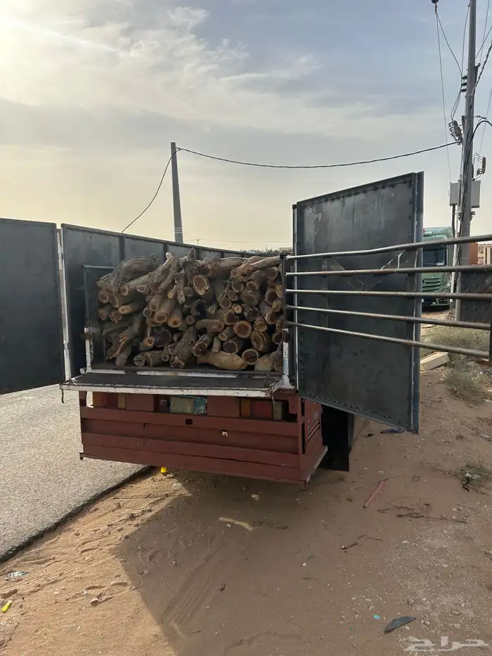 ح ط ب المدينه 6