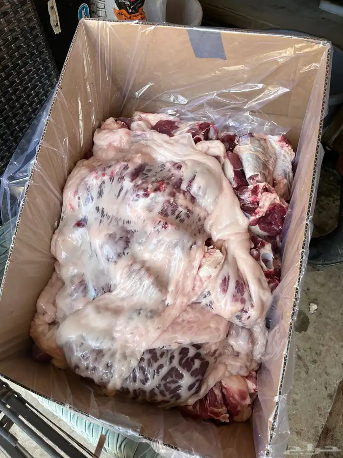 ذبايح ابو فيصل 0