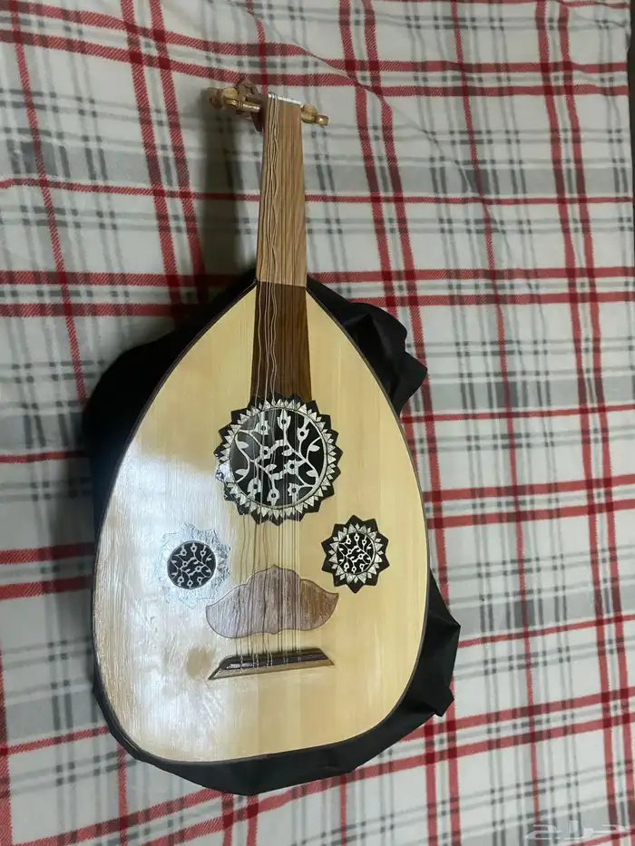 عود للبيع مع شنطه و ريشه ودوره للتعليم ب 400 2