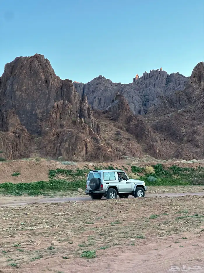 جيب ربع 2015 21