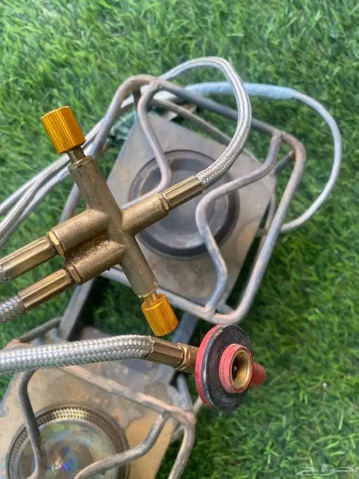 دافور عينين مع الوصلة 1