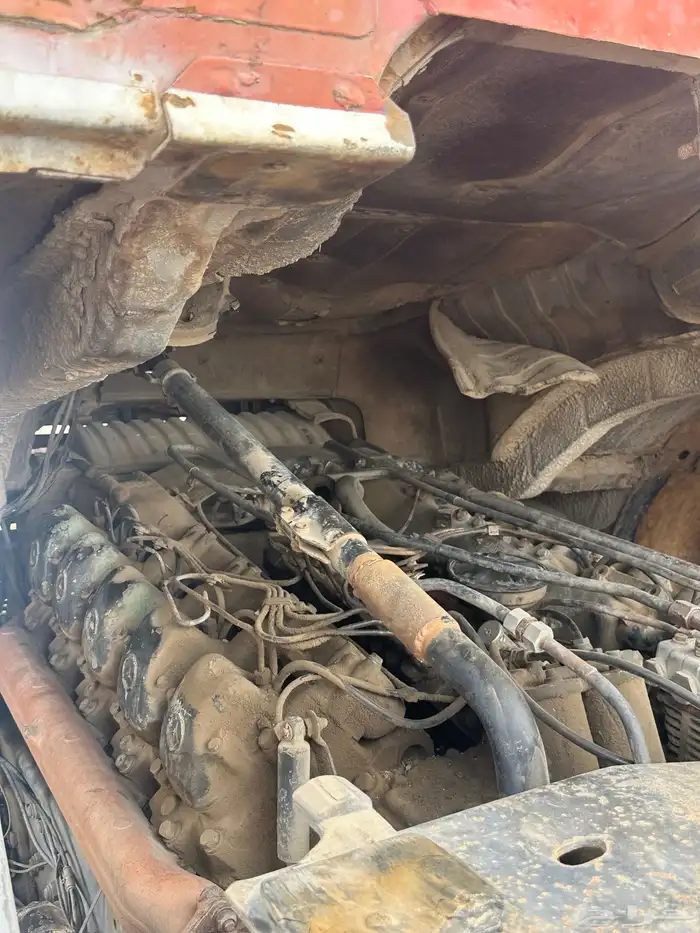 راس البي عشراويه 8