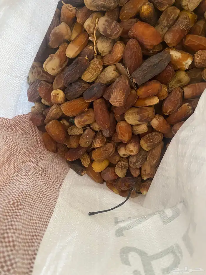 تمر علف للحلال 2