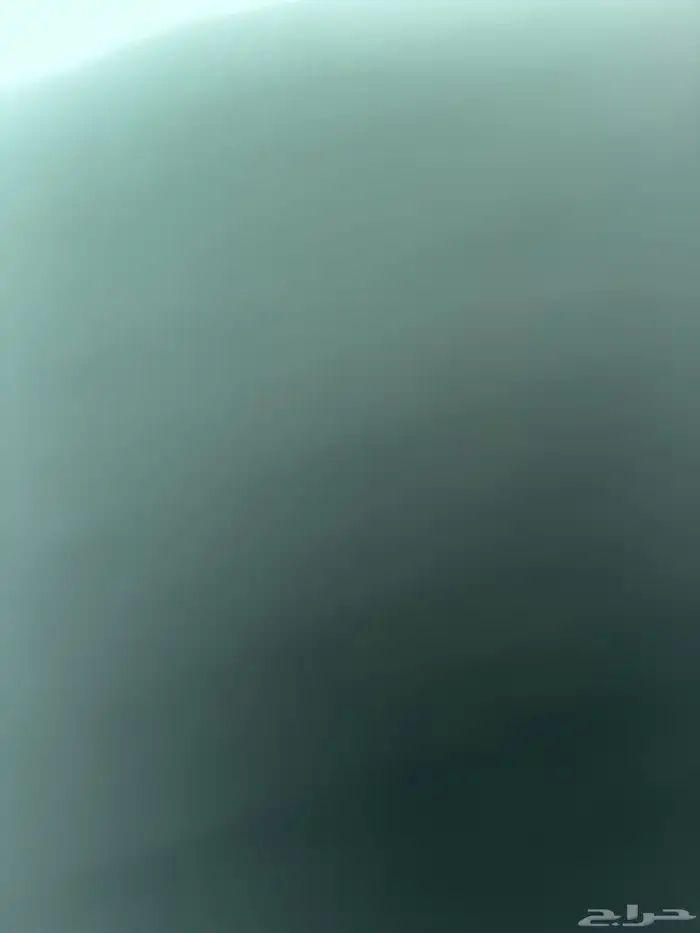عمال حلاقين للتقبيل 0