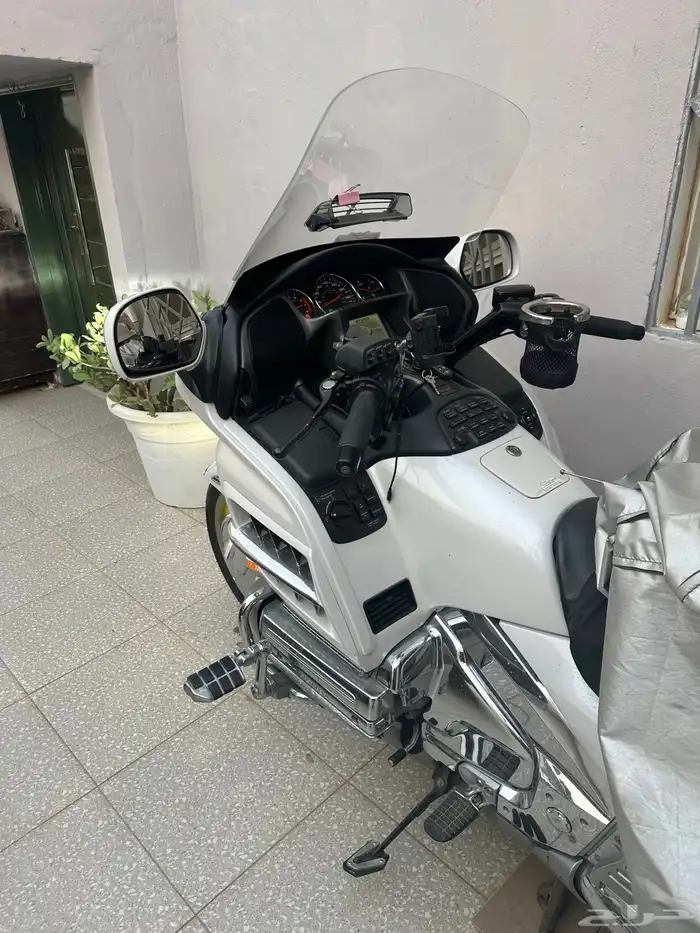 قولد ونق 2008 8