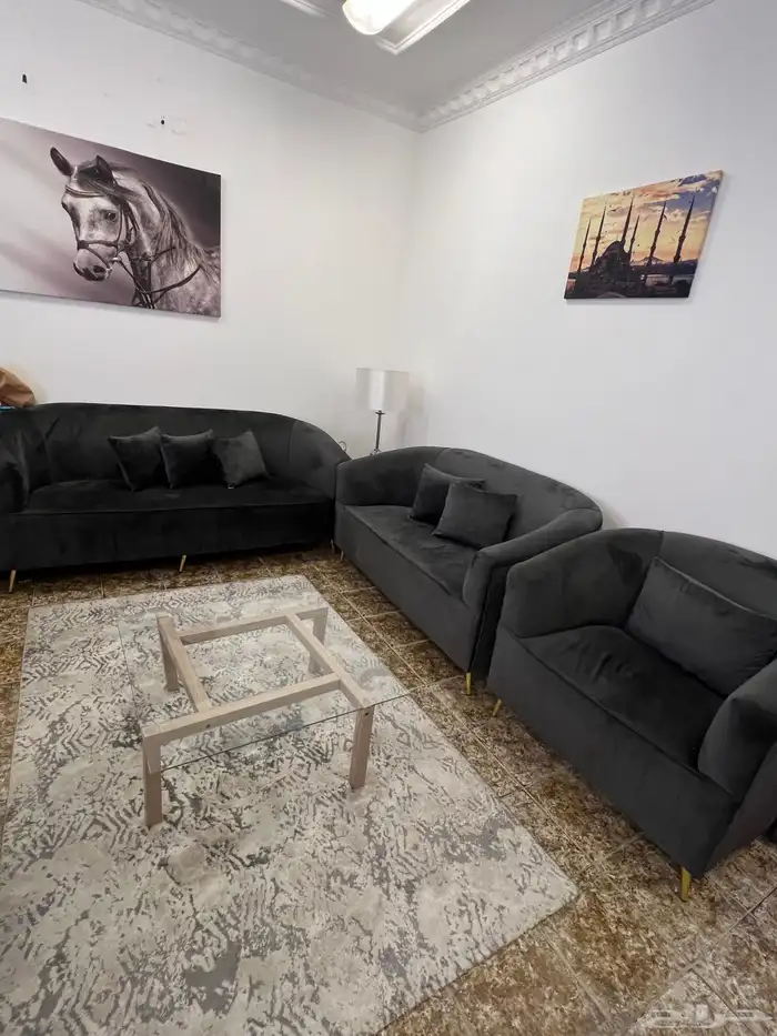 طقم كنب جديد مع سجادة وطاولة وسط للبيع المستعجل بحالة ممتازة 0