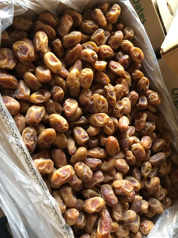 متوفر تمر خلاص وبرحي 0