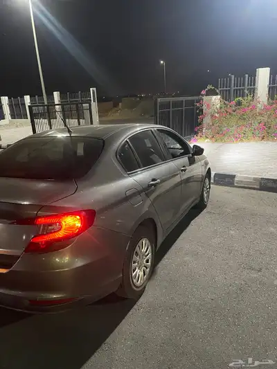 دودج نيون 2020 للبيع index