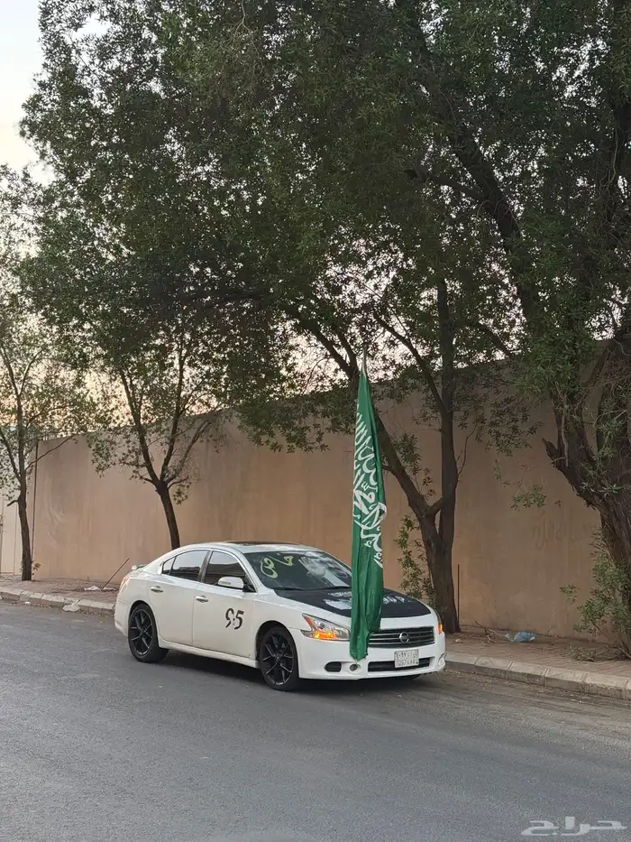 مكسيما 2010 0