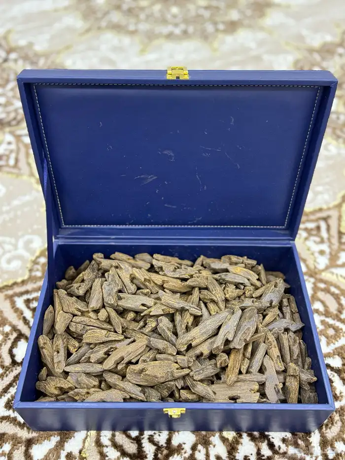 عرض جملة الجملة 3