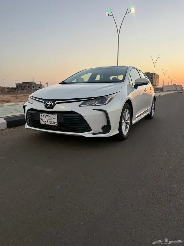 كورولا 2020 1