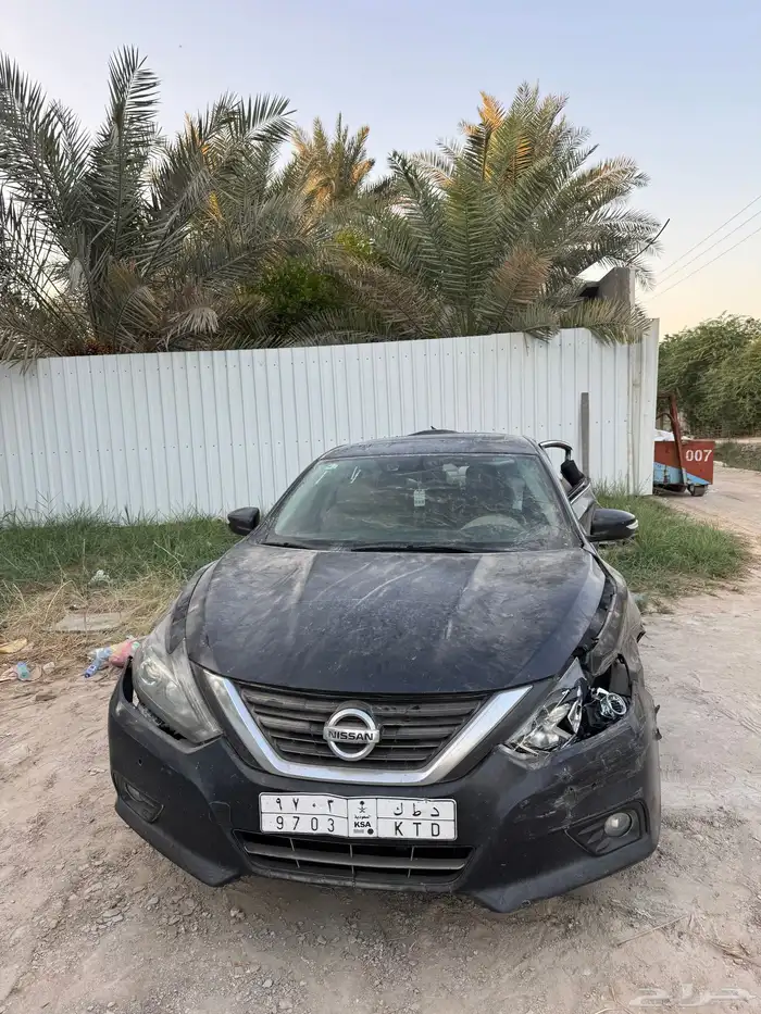 التيما تالف 2018 3
