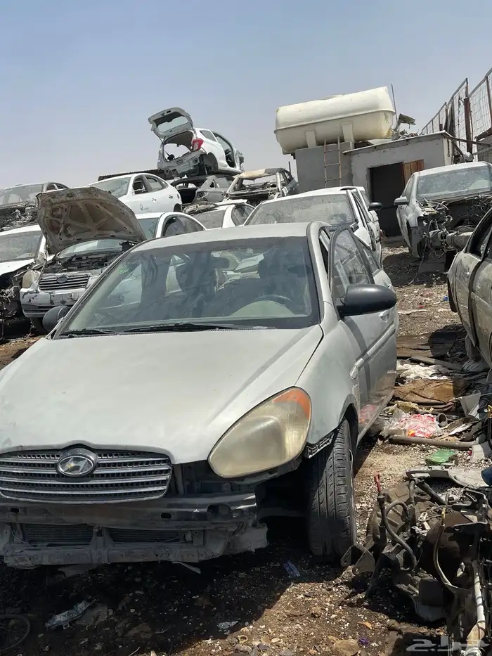 اكسنت دبدوب 2011 1