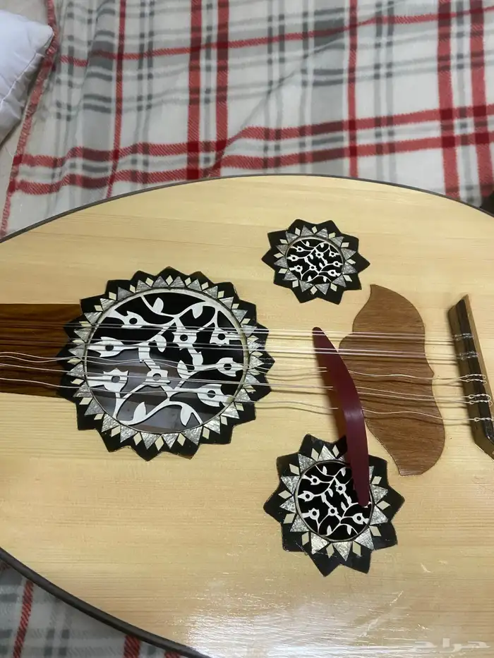 عود للبيع مع شنطه و ريشه ودوره للتعليم ب 400 6