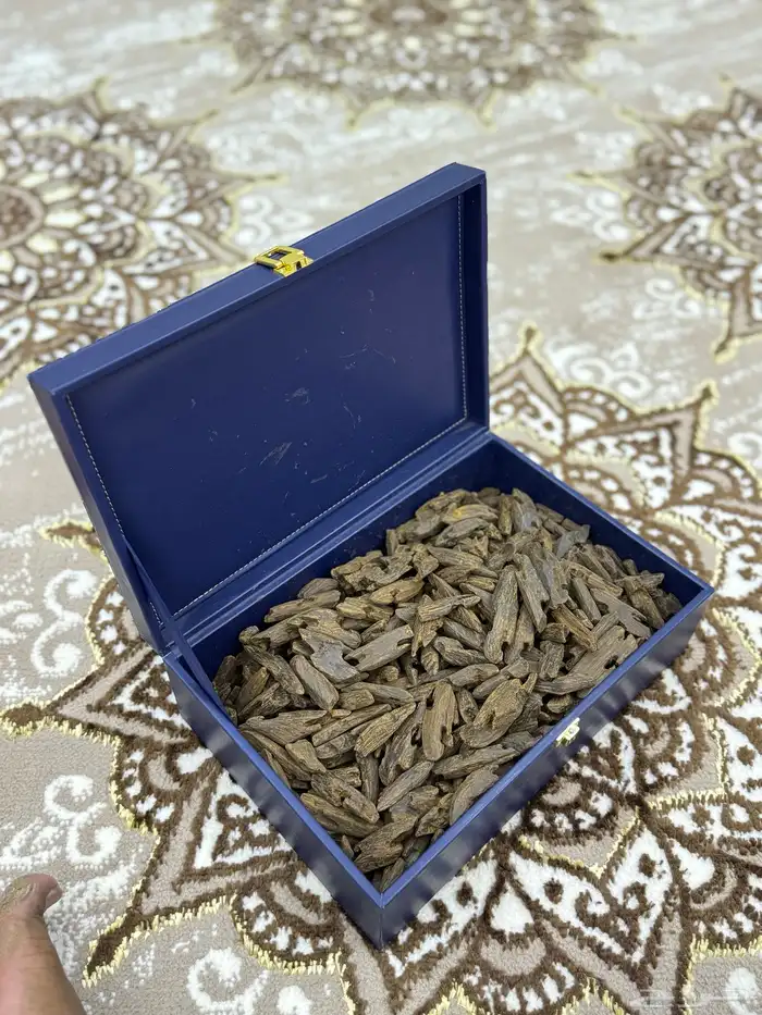 عرض جملة الجملة 2