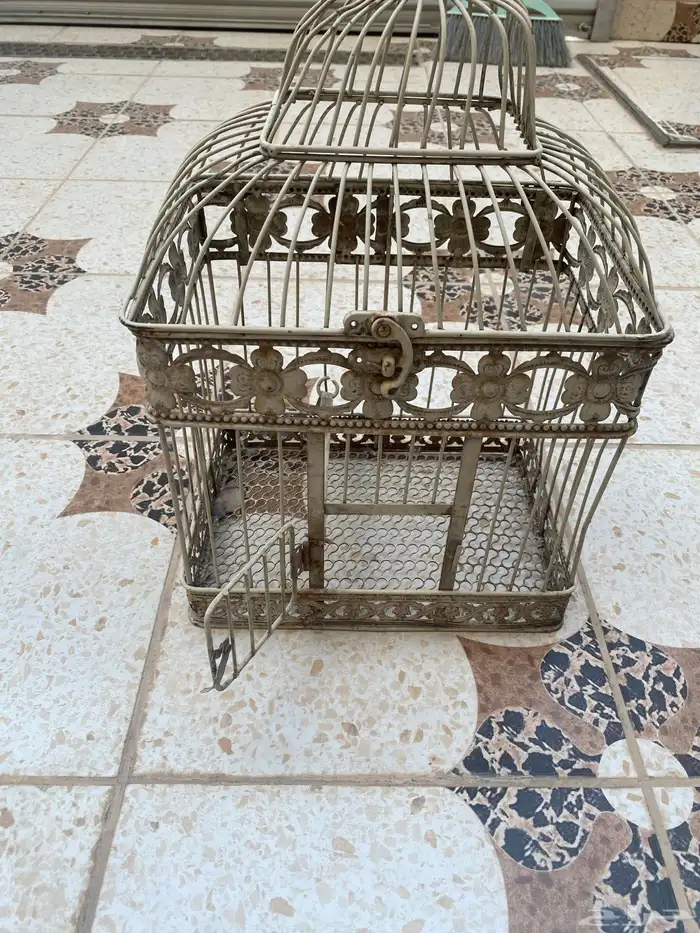 شبك طيور 0